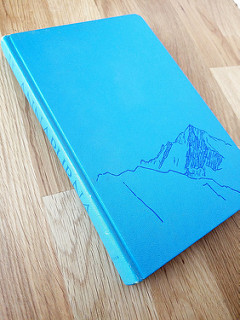 40149940083_70022a10be_n